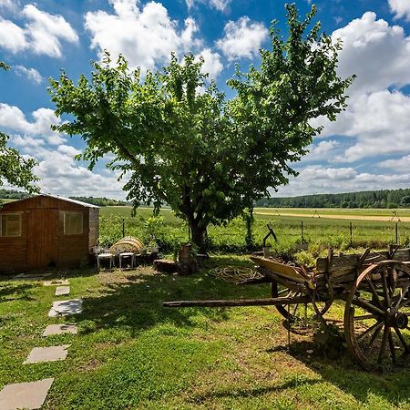 Domaine Du Bois Des Anges Bed & Breakfast Germigny-l'Eveque Exterior photo